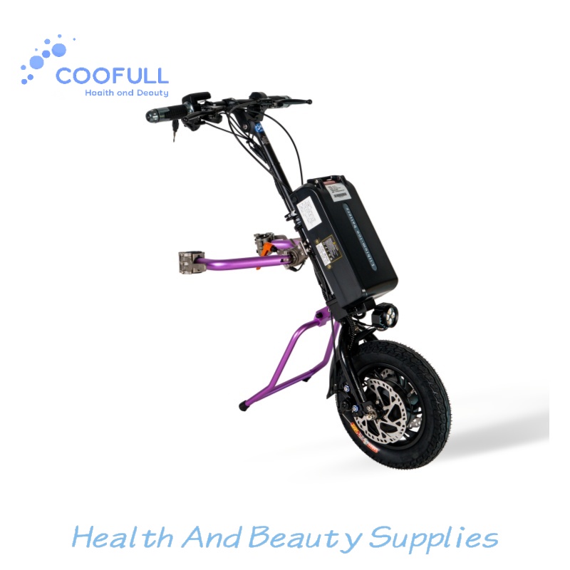 Coofull Heibao 350W 48V 15Ah 5 - Electrical のレビューと価格